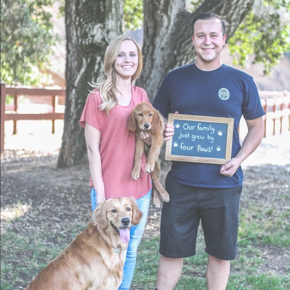 Meet your posher Shelley - Picture 2 of 5